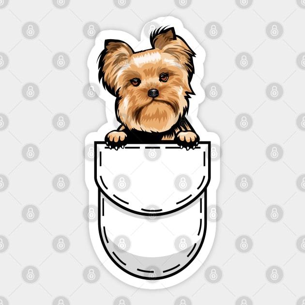 Yorkshire terrier pocket sales